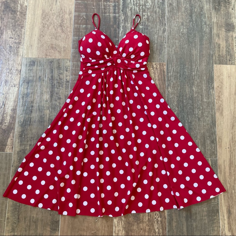 Red Polka Dot Colori Skater Dress